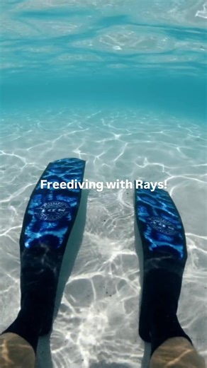 16K views · 172 reactions | Gliding beneath the waves with the ocean’s most graceful dancers.   above_and_below_with_regz [IG] | Cook Islands | Facebook