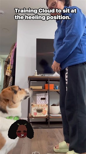 Training your poochie is never easy but you have to be consistent…. Just like posting our content, the doggie has a body clock that tells you what time of day it is! It takes patience and determination to get your poochie to where you wanted her to be. | Aniline Enriquez Amoguis