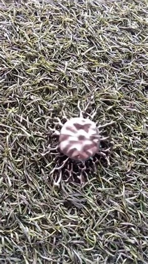 #cosplay | Transformation alert 😱 |