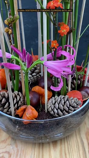 26K views · 249 reactions | Calling all florists! Experience floral...