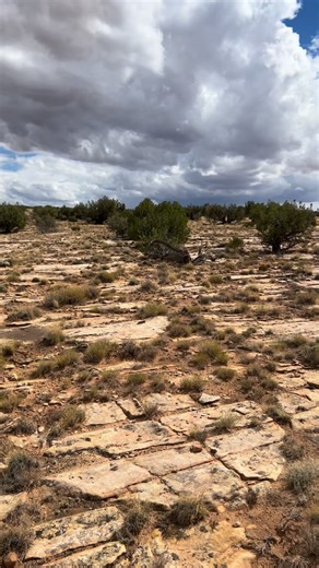 Found a few more pieces while out arrowhead hunting from the last few clips. This San Jose/Pinto point with some tip damage and this broken preform or unfinished blade. Always fun to find a few arrowheads while out hiking and enjoying the weather. I believe I moved spots after this and went to another nearby location. Thanks for following along. . . . . . #hiking #arrowheads #hunting #arrowheadhunting #hikeaz #shedhunting #rockhound #outdoors #lithics #artifacts #arrowhead #collecting #finderske
