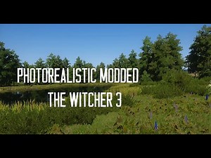 Photorealistic Witcher 4K - Will Next-Gen beat Fully Modded Witcher 3?