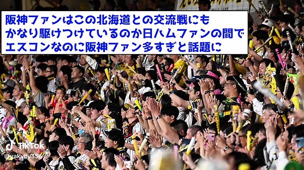 阪神ファンの圧倒的応援と熱狂的な交流戦