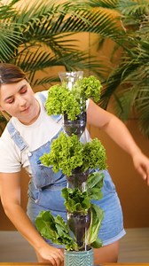 1.3M views · 20K reactions | Extra effective space-saving method for growing vegetables! | 5-Minute Crafts GIRLY | Facebook