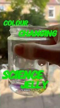 Making hydrogels at home! 👩‍🔬🧪