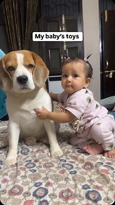 53K views · 832 reactions | Jeete jagte toys  Funny, relatable, dog memes, dog and baby | Doodle | Facebook