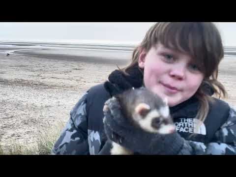 Ferret and Polecat visit the Beach for the first time