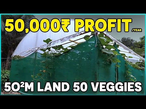 Integrated Vegetable Farming System | Mini Polyhouse Rain Shelter at Home