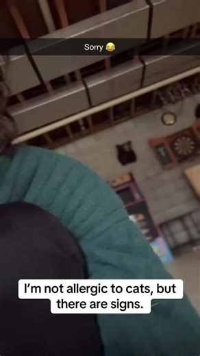 Signs You Might Be Allergic to Cats