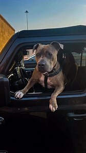 Someone take me to Team Nutz or type for me on a phone: www.diycustoms.store. #giftideas #diycustomsstore #gifts #deals #holidayspecial #teamnutz #teamnutzpgh. DIYcustoms TN Security Rally Specialist 12 Volt News | Ed Nuttall