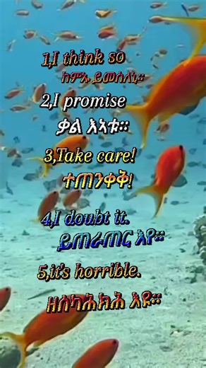 ወዲ ብሪ ፈታዊ ሰብ on TikTok