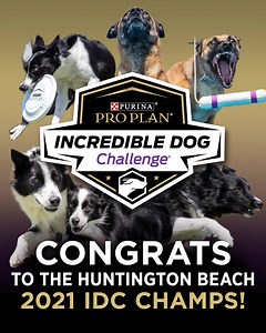 Congratulations to all the winners at the Purina Pro Plan Incredible Dog Challenge Western Regional in Huntington Beach, CA! Purina Pro Plan is proud to have fueled 6 of the 9 regional champions. #IncredibleDog | Purina Pro Plan