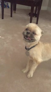 9.3K views · 164 reactions | That slow motion derp, haha | Late Night Viral Videos | Facebook