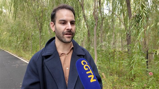 Brazil and China pursue tech synergy for reforestation