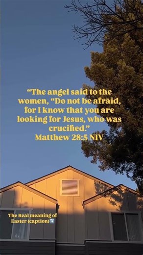 The Real Meaning of Easter (see description)✝️❤️🥳