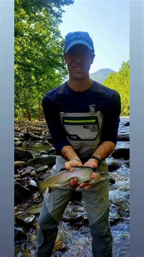 2.2K views · 12 reactions | When fly fishing on a trout stream, always carry a #lifestraw product so you stay hydrated!! Our flows and fishin are the best ever!! We are stocking trout again on thursday!! Late June 2025 photos!! #lifestraw #waterfilter #flyfishing | Harman's Luxury Log Cabins | Facebook