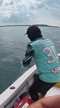 kuat sekali di kira GT ternyata ikan ini #fishing #mancing