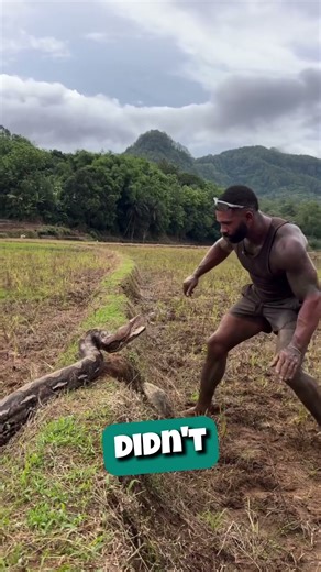 He caught a GIANT python barehanded 🐍😳 #shorts #python #tarzan #jungle