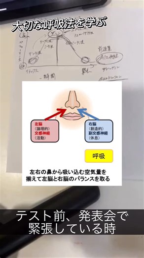 GEN GROUP/日々の健康情報を発信/医食同源 on Instagram: "【呼吸法について】 nasal cycleという言葉をご存知ですか？ 人間の呼吸には2〜3時間ほどで 左右どちらの鼻が通りやすい通りにくいという現象があり、 それは自律神経の調節に使われているのではないかと言う研究です！ これは片鼻呼吸、ヨガ呼吸にも精通することかもしれませんが、 やはり呼吸とはとても大切なことで、 最大のインプットアウトプットかもしれませんね！ #呼吸 #脳科学 #健康 #右脳 #デトックス"