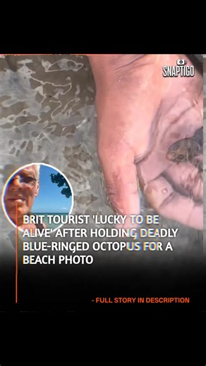SnapTigo on Instagram: "Brit tourist lucky to be alive after taking picture on a beach A British tourist—identified as *Antiques Roadshow* expert **Andy McConnell** (72)—has been told he is "lucky to be alive" after unknowingly handling one of the world's deadliest creatures for a holiday video. McConnell was walking on a beach in the **Philippines** when he picked up what he thought was a harmless "baby octopus". **The Incident:** * **The Photo:** McConnell filmed himself holding the small, pat