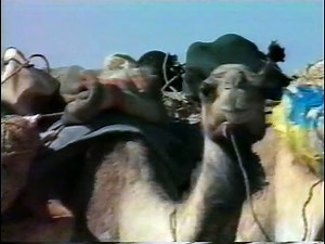 Documentaire | Histoire de l’Islam