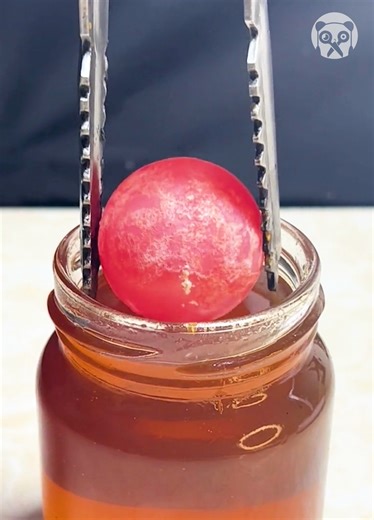 341K views · 81 reactions | Hot ball vs honey jar experiment | Girly Panda | Facebook