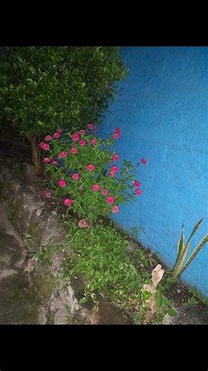 Celia Martinez on Reels