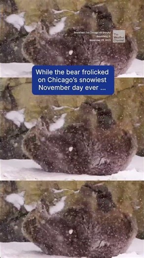 One Snow, Two Moods: Which Is More You?