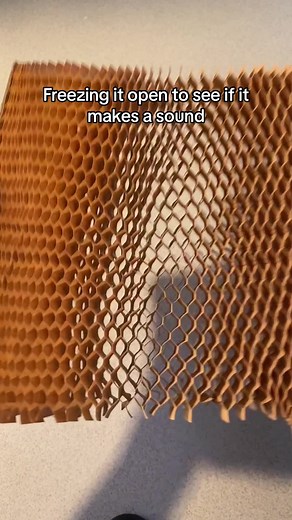 Crunchy Honeycomb ASMR Freezer Experiment