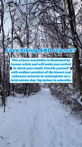 990K views · 568 reactions | Curious about the mysteries of existence? Get ready to explore the uncharted territories where science, art & philosophy collide! Subscribe now and unlock a world of fascinating insights with our Nautilus Newsletter! | Nautilus Magazine | Facebook