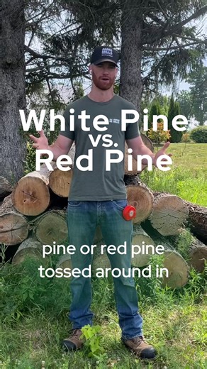 5.6K views · 40 reactions |  Red Pine vs. Eastern White Pine. Which one’s better for your next project?  Marek explains the differences in bark, needles, and lumber, plus which pine works best for construction, furniture, or outdoor builds. Check out the full video! https://woodlandmills.com/red-pine-vs-white-pine • • • #woodlandmills #sawmill #wegobeyond #whitepine #redpine #pinelumber | Woodland Mills | Facebook