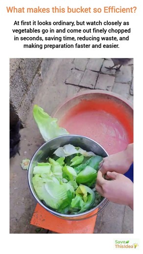 Vegetables Chopper | Lightweight and Effective Bucket