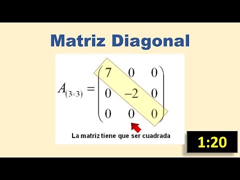 Diagonal Matrix: What It Is and How to Easily Recognize It
