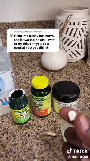 Treatment and Recovery Tips for Parvovirus in Puppies