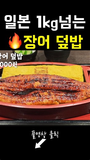 Japan's Over 1kg Eel Rice Bowl