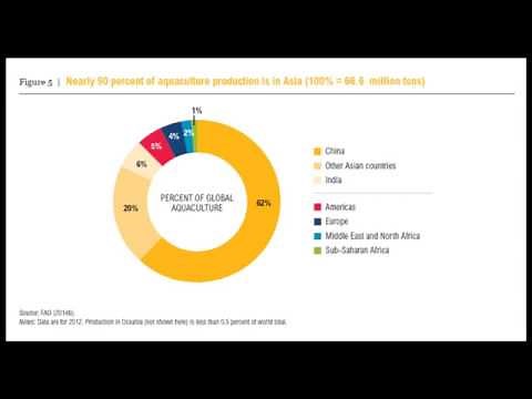 Overview of Recirculating Aquaculture Systems (RAS)