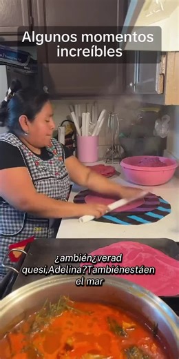 Delicious Tortilla Recipe for Everyone