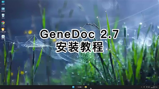 超详细GeneDoc 2.7安装教程，GeneDoc 2.7轻松上手教程！