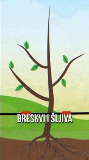 Kako je PKB pravio DVE ŽETVE godišnje?!