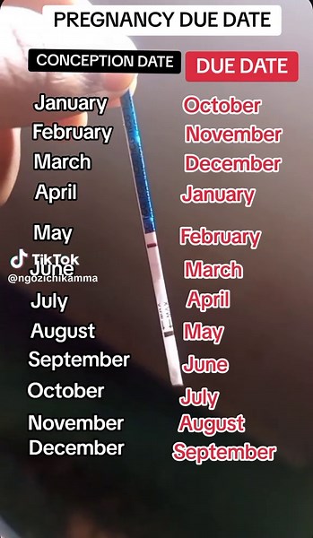 Queens And Little Heroes (@queensandlittle_heroes) - Calculate Your Pregnancy Due Date with Ease