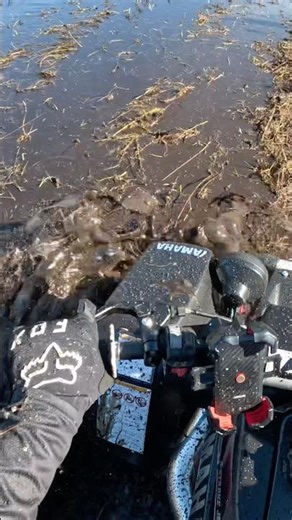 Yamaha Banshee 350 going Mudding by Accident #shortsfeed #bikelife #motovlog #2stroke #2strokemix