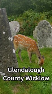 Glendalough County Wicklow | Love Ireland