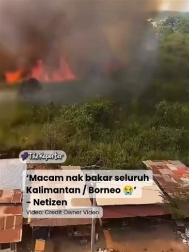 Kebakaran Hutan Besar di Kalimantan: Lautan Api Ancaman Penduduk