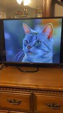 Stuart Little 2 (2002) Monty the Mouth (VHS Capture)