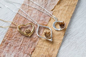 449K views · 2.9K reactions | Real flowers that bloom for 30 years. | Grommet | Facebook