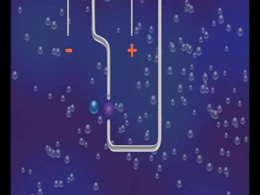 Biography - Wallace H. Coulter