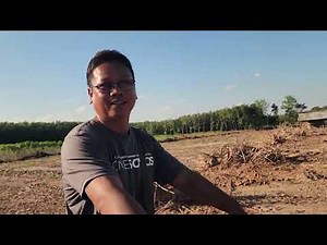 How much did the total budget for the excavator bucket for digging up rubber tree stumps...? (Ste...