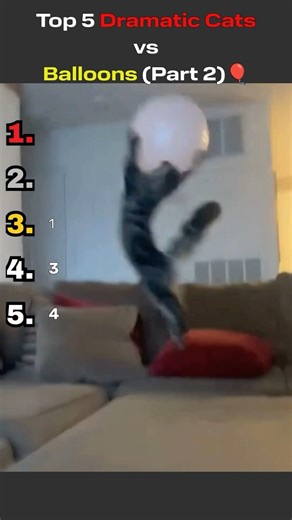 Top 5 Dramatic Cats vs Balloons (part 2)😆