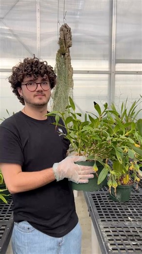 20K views · 420 reactions | Intern Brady share about seed...