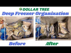 Deep Freezer Organization w/ Dollar Tree Bins